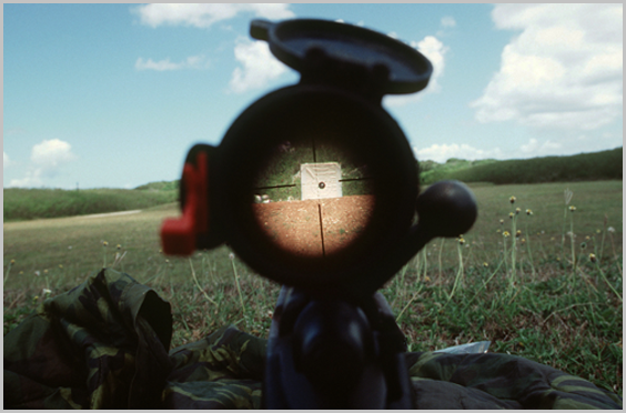 Rifle scope at 100 yards