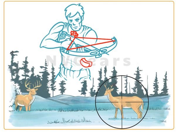 How To Use The Crossbow - Beginner's Guide - Night Vision Gears