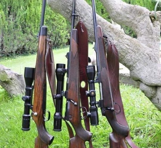 Best Scope for .308 Best Scope for .308